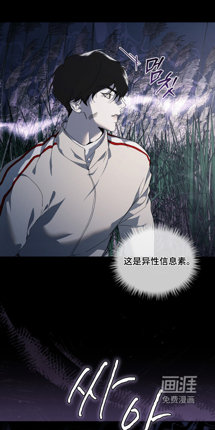 第28话13