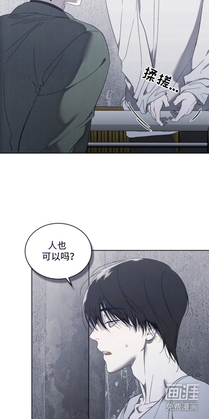 第5话5
