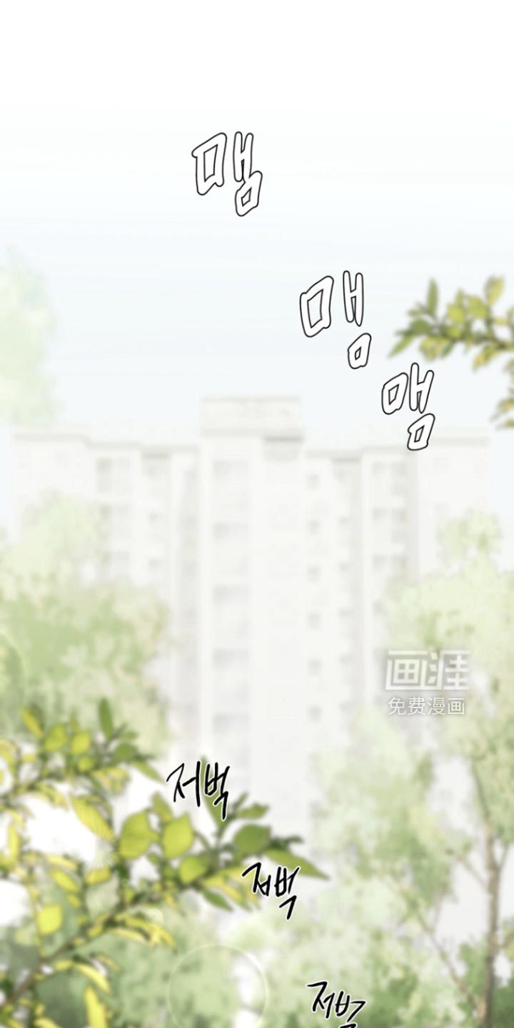 第25话0