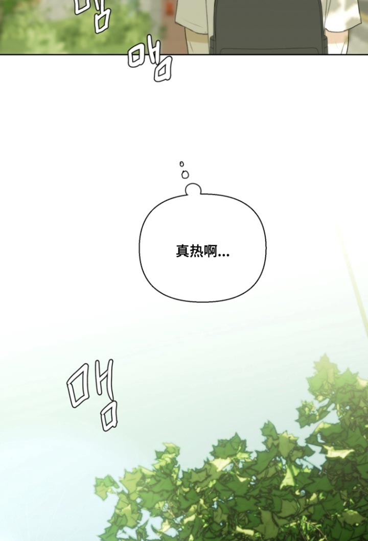 第25话17