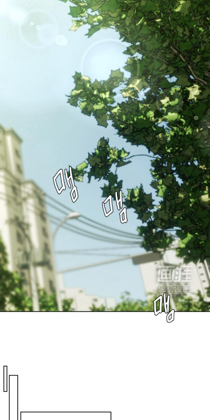 第25话18