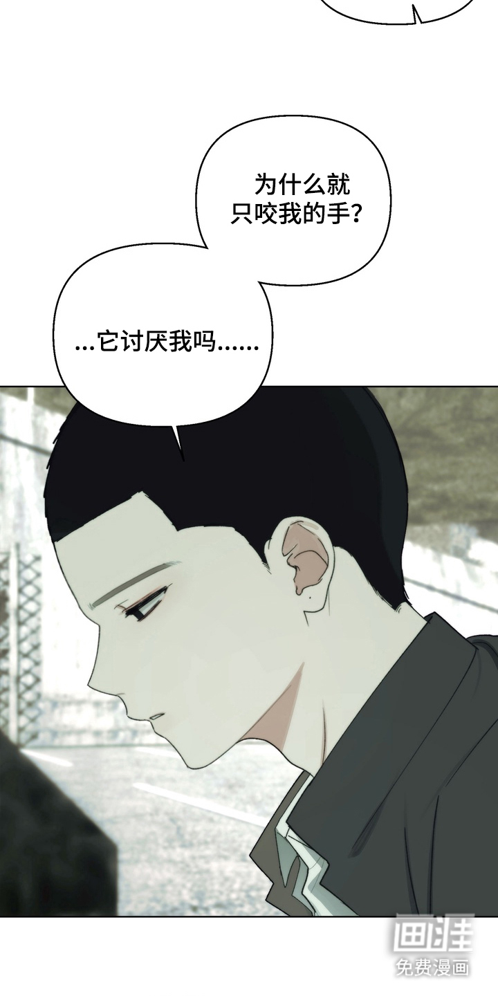 第5话4