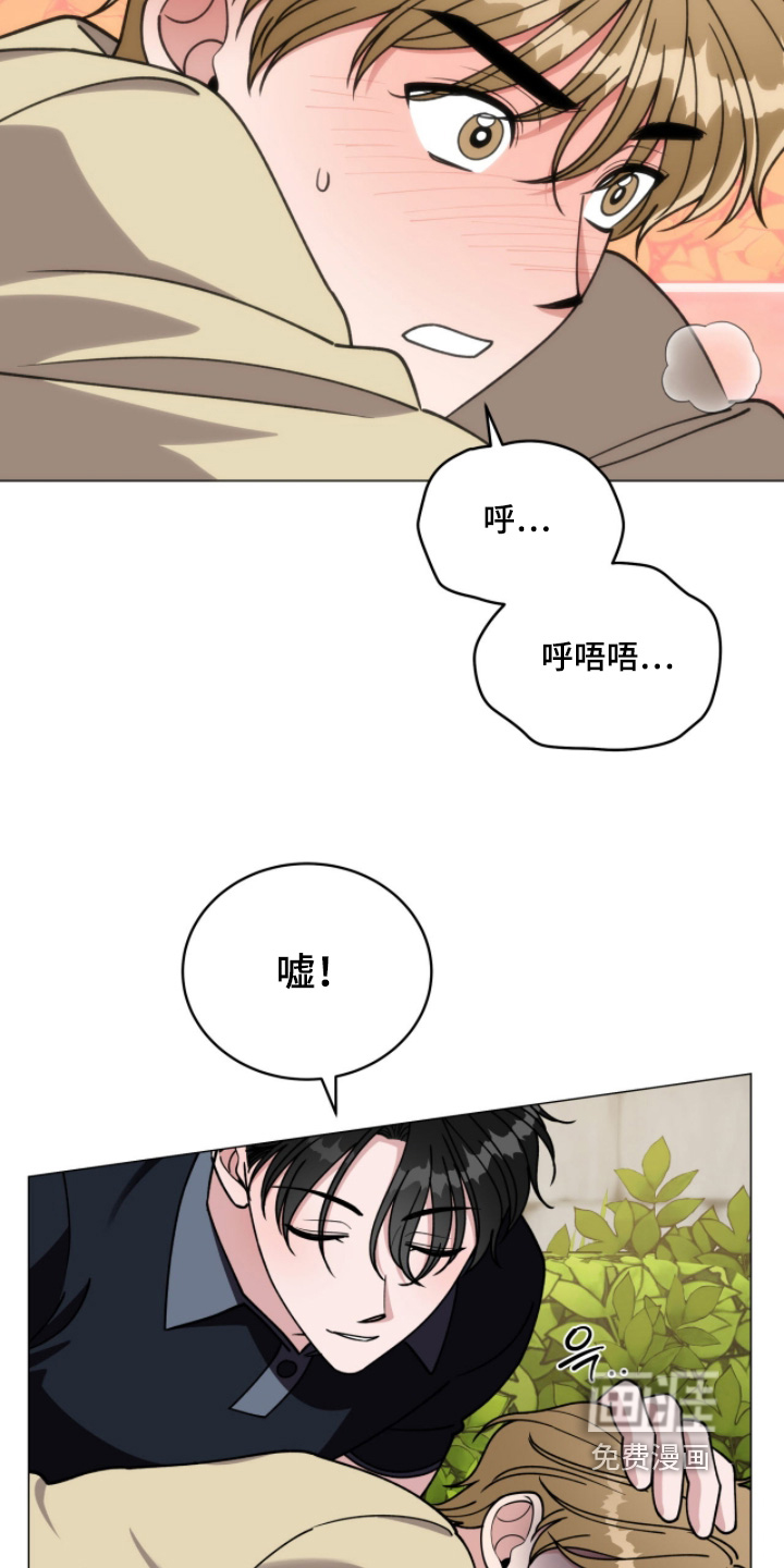 第20话5