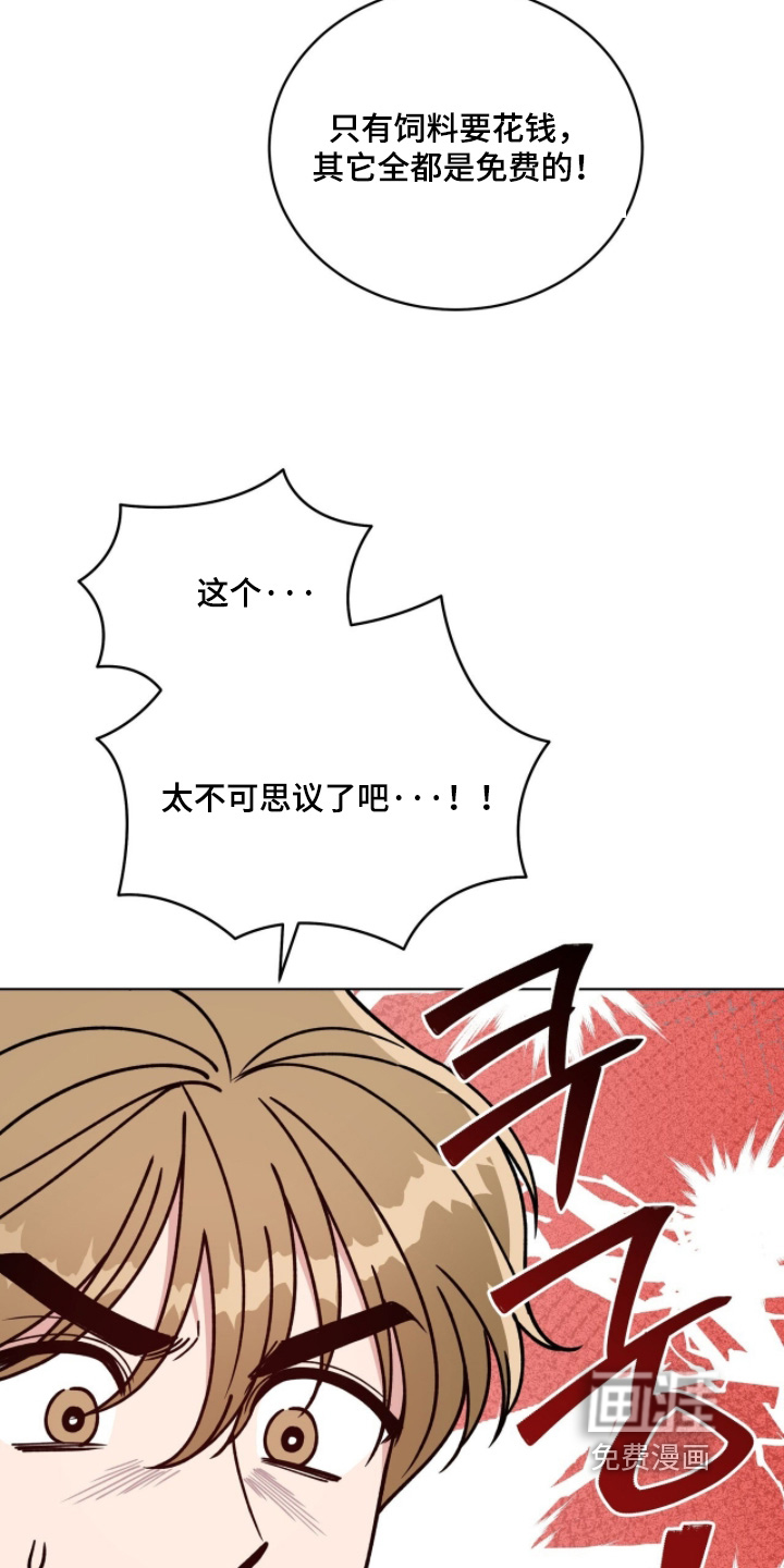 第29话1
