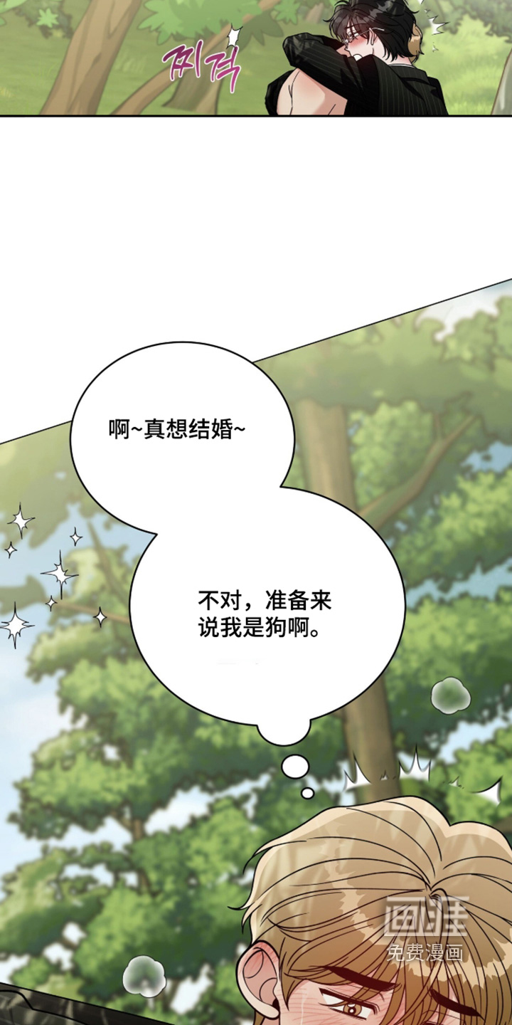 第33话7
