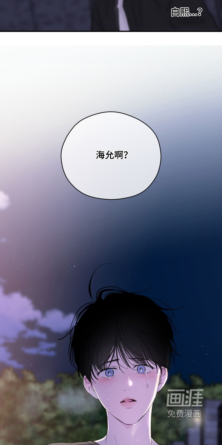 第33话17