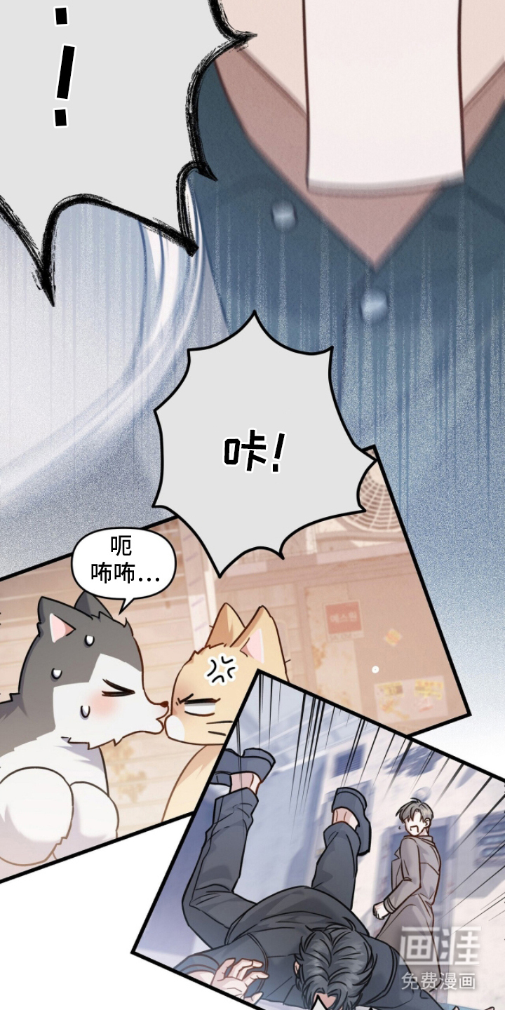 第5话8