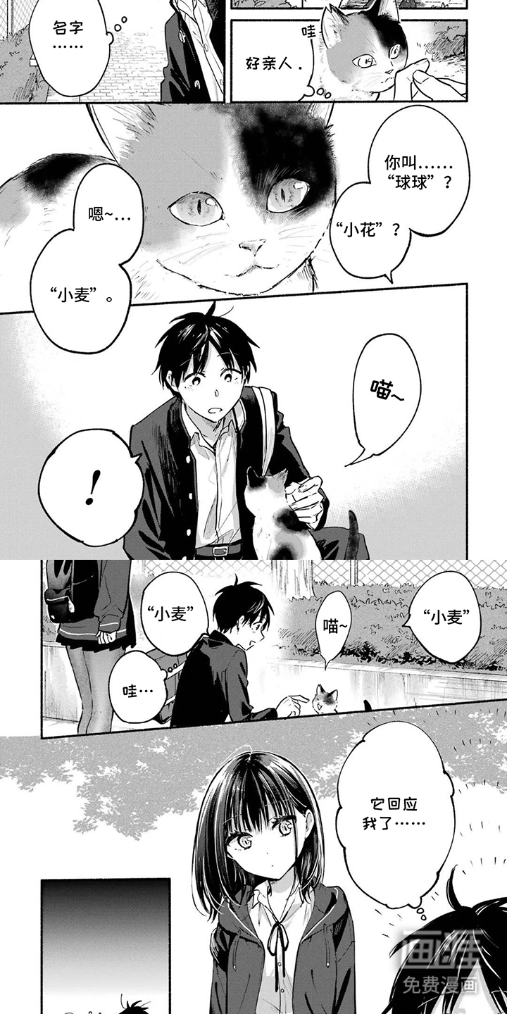 第5话3