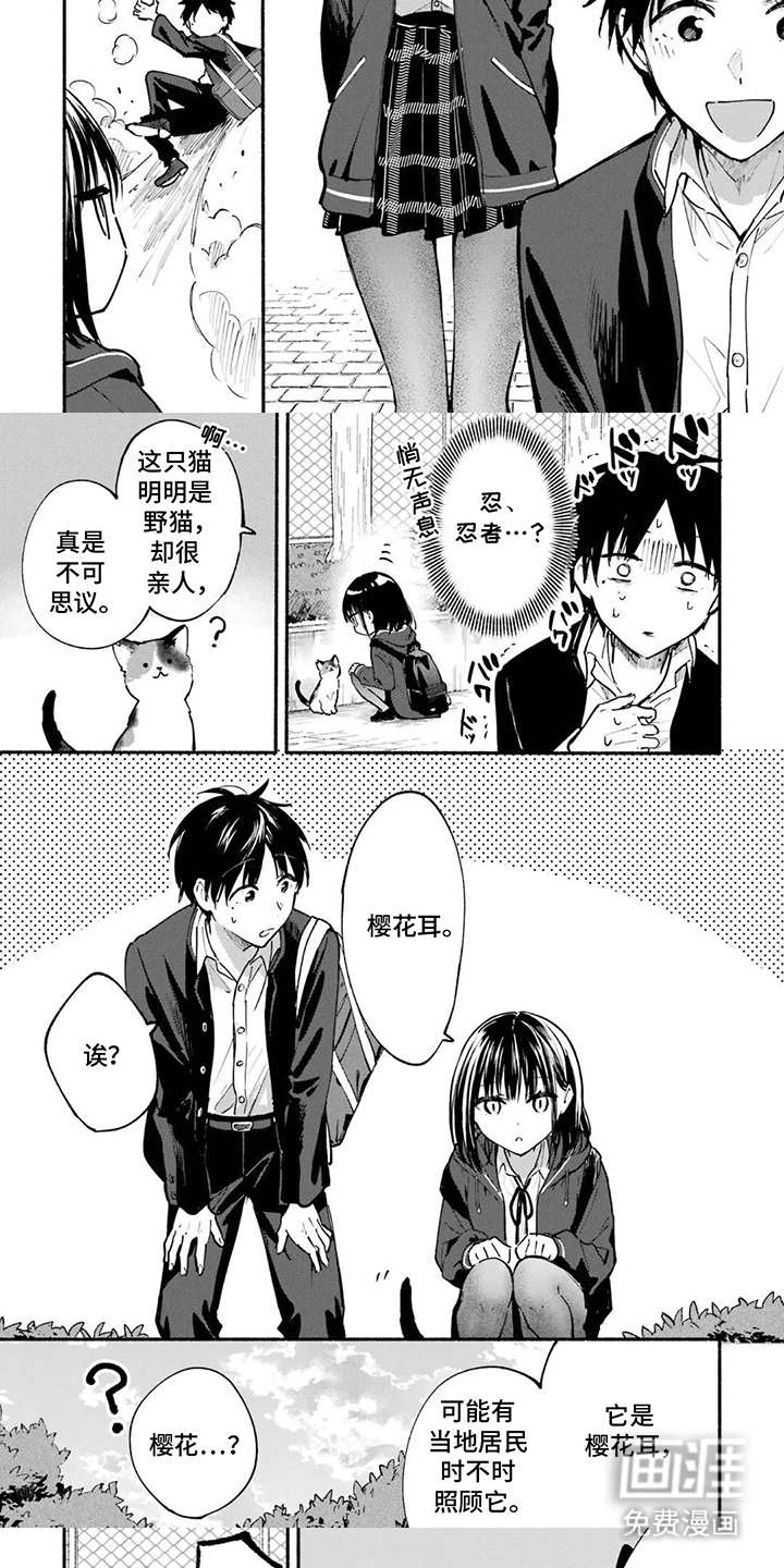 第5话4