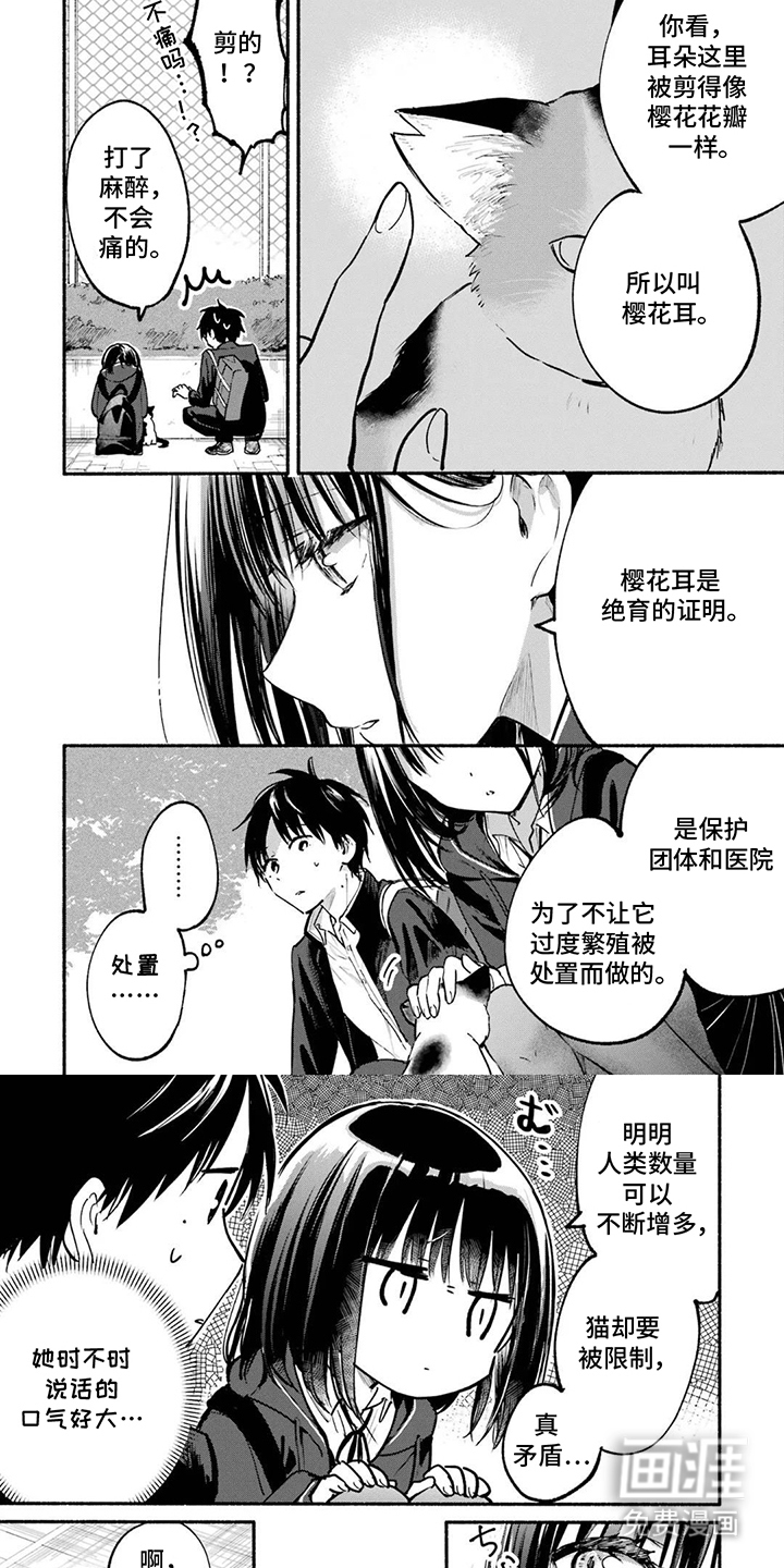 第5话5