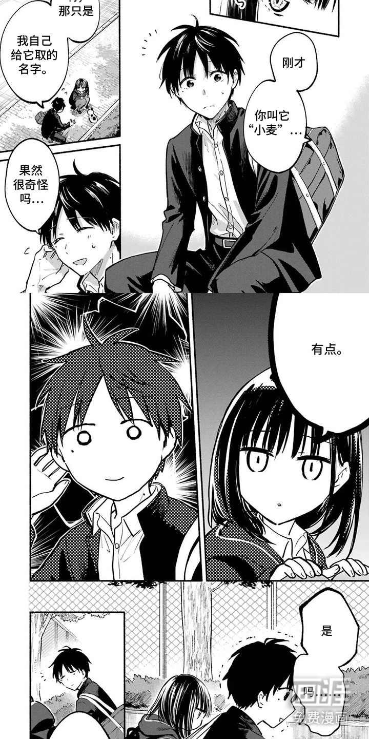 第5话6