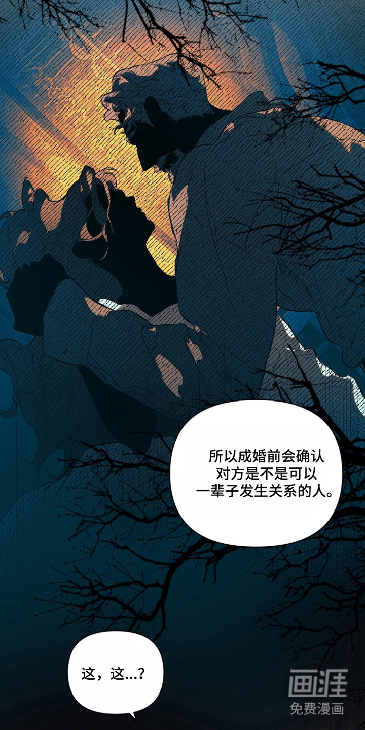 第26话15
