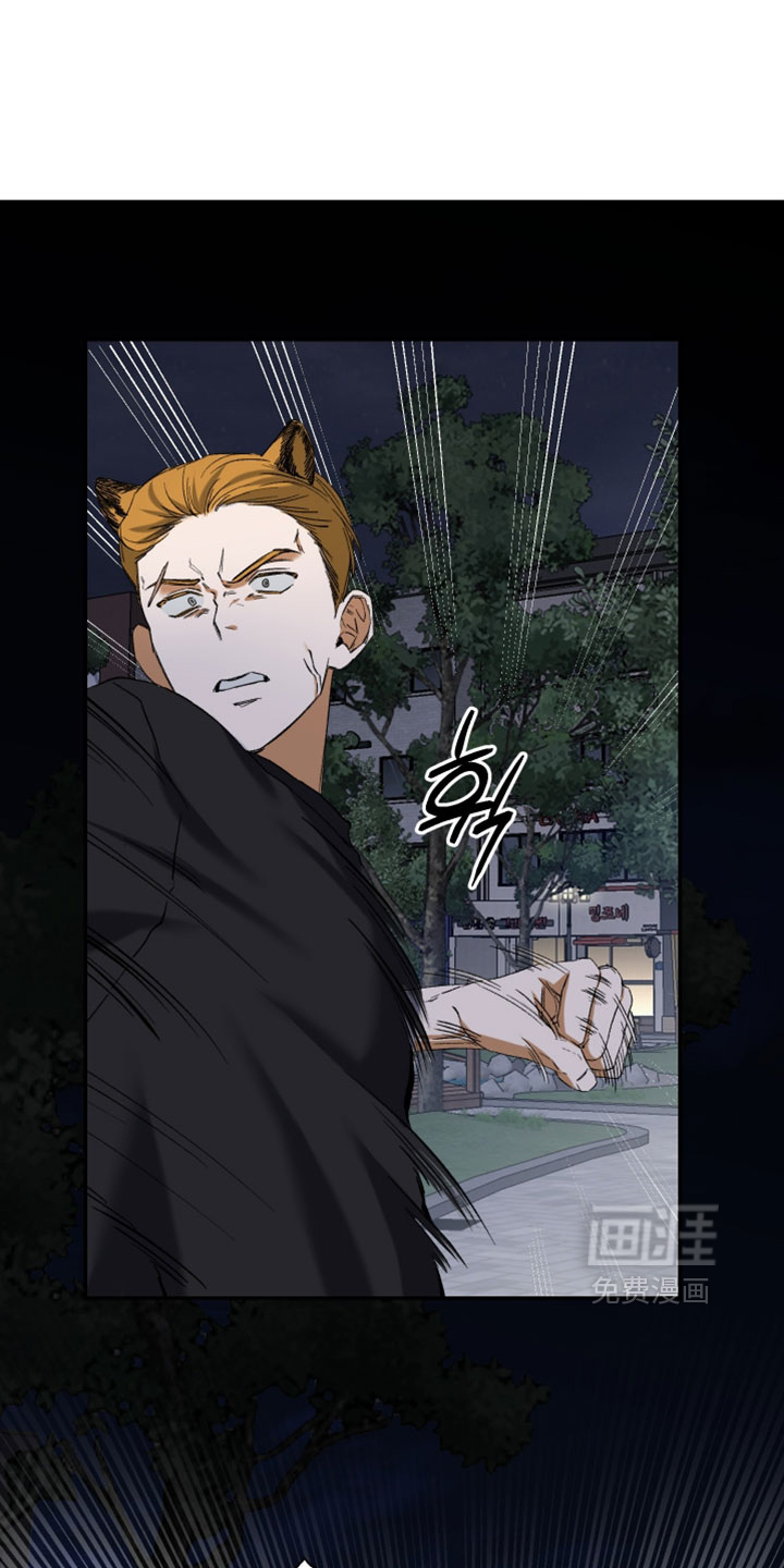 第29话14