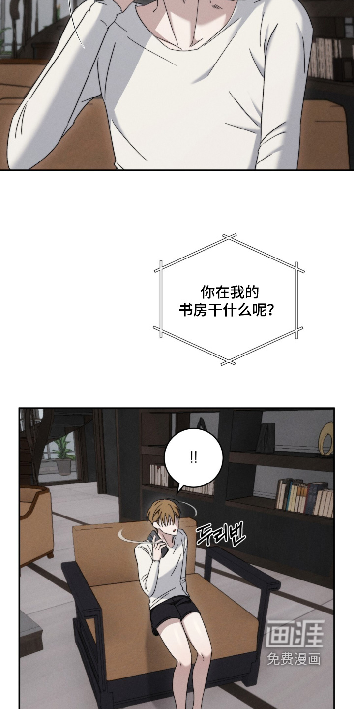第13话17