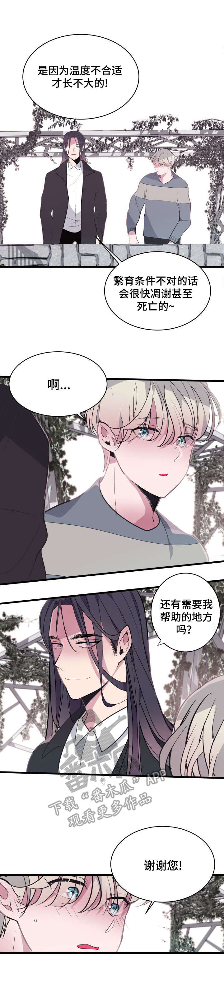 第11话4