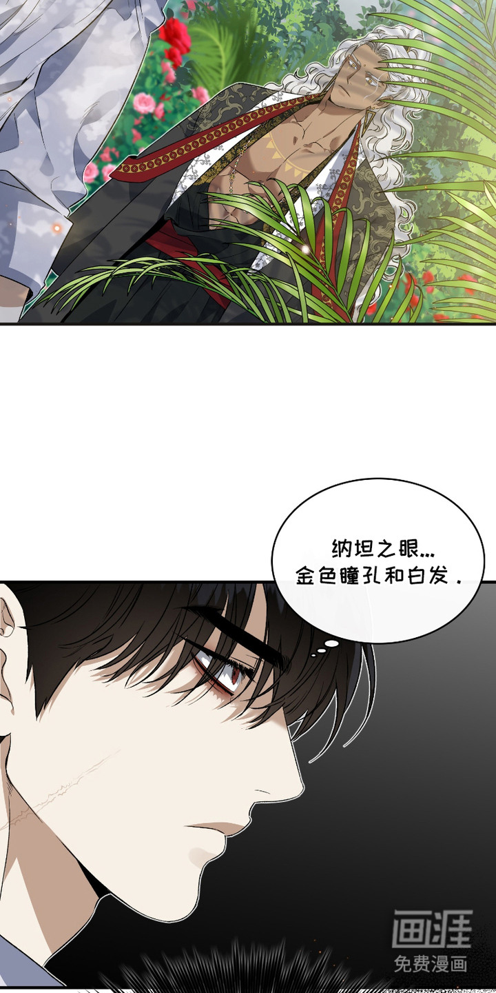第12话6