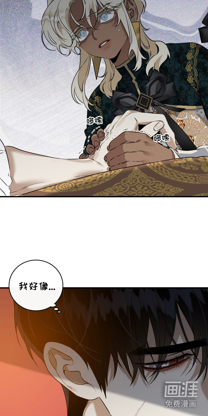 第11话6