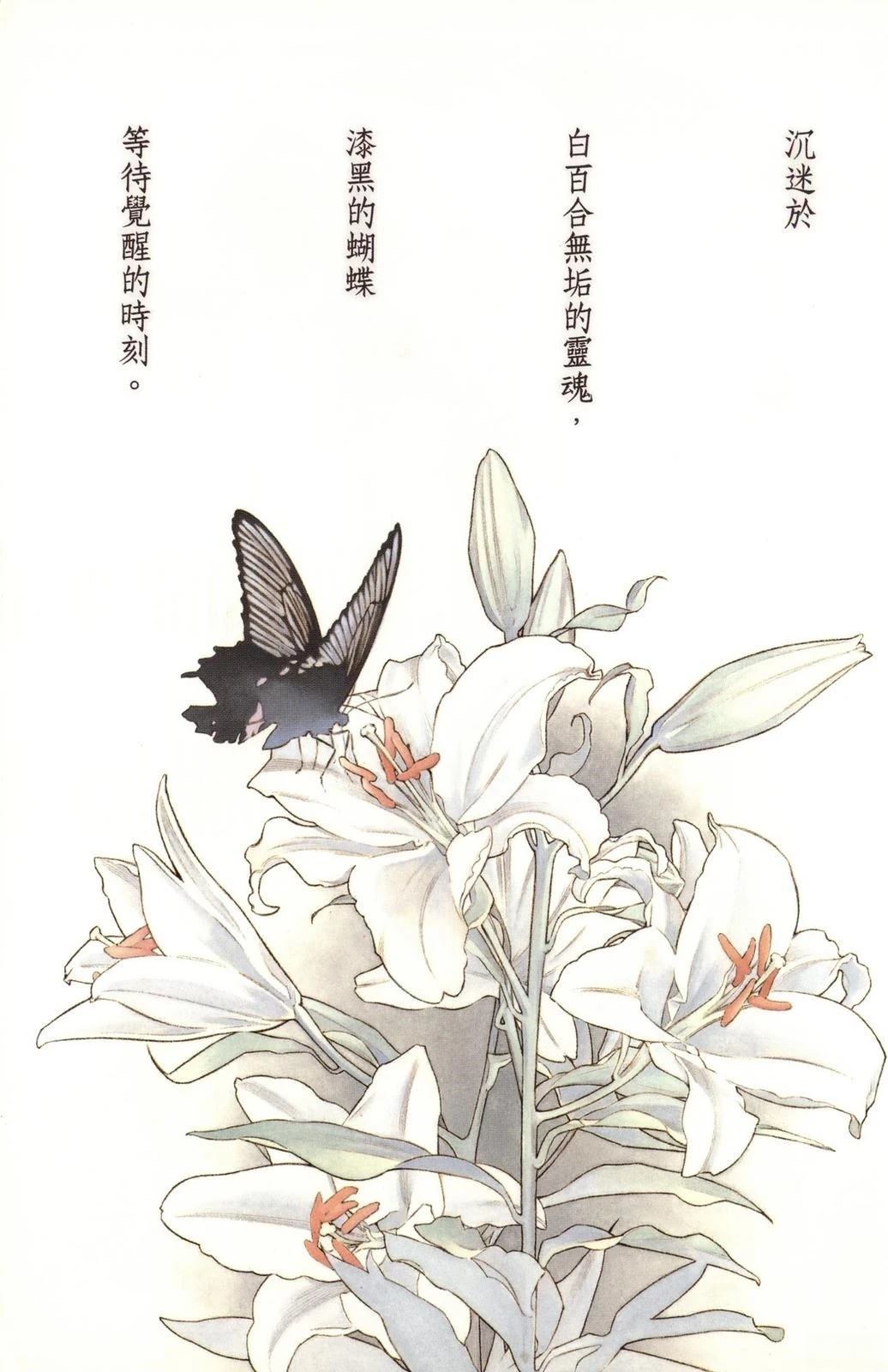 第4卷2