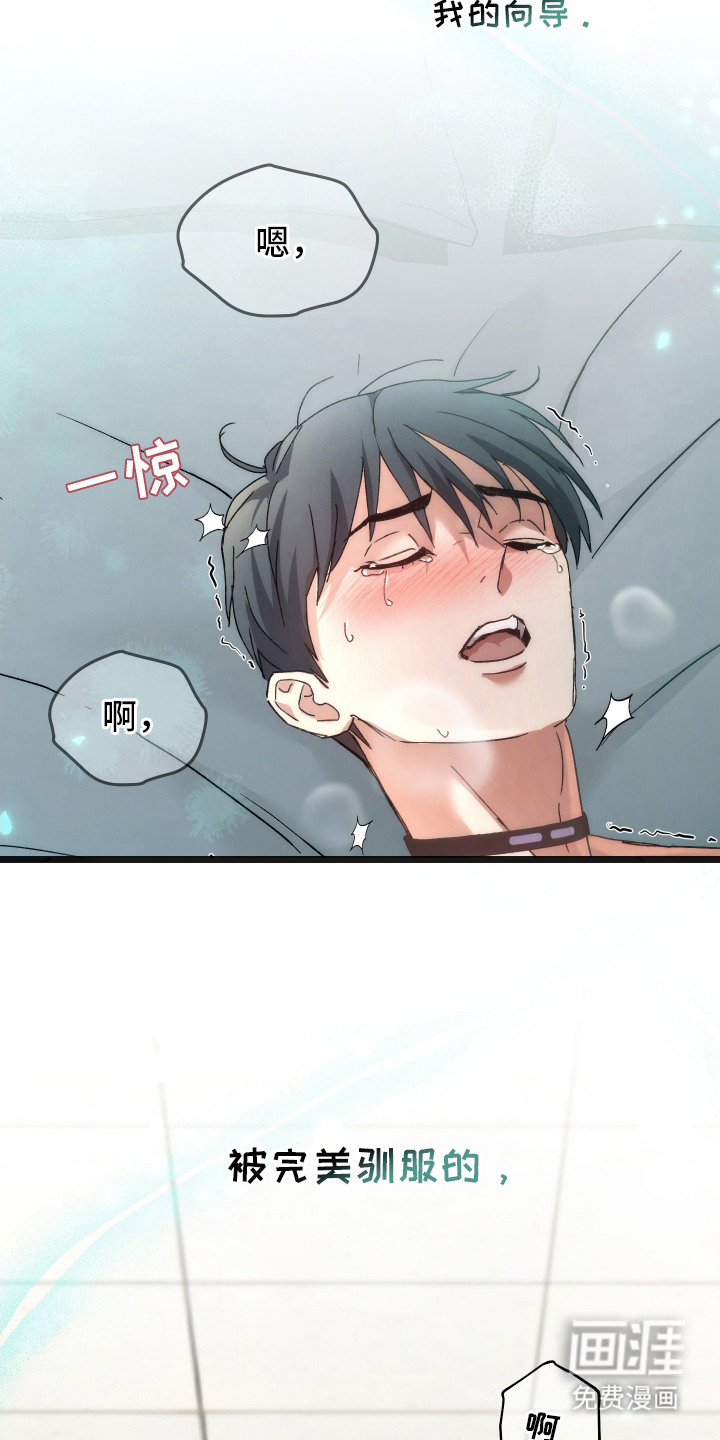 第6话9