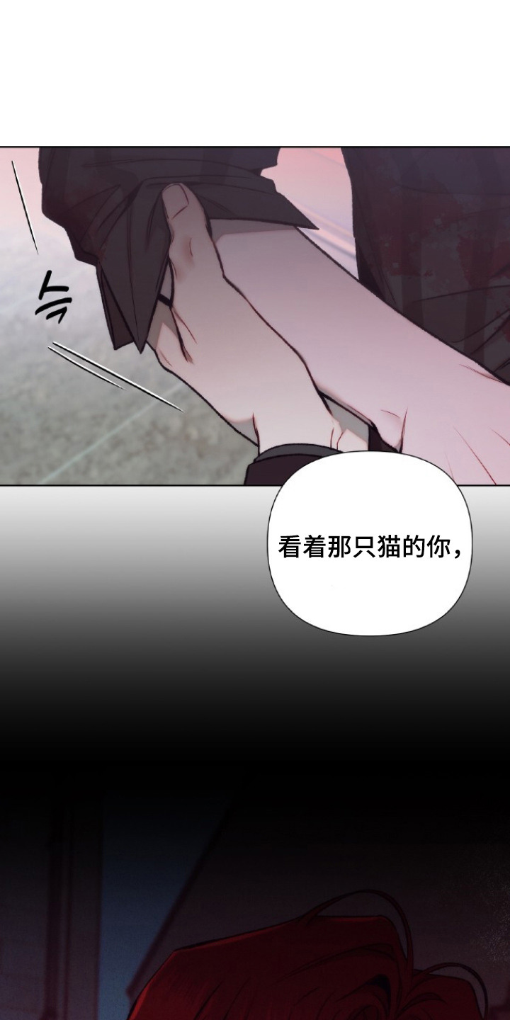第19话11