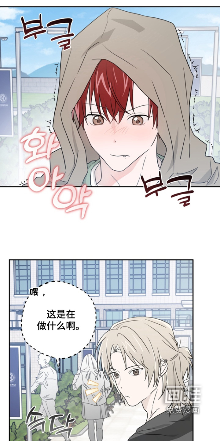 第17话19