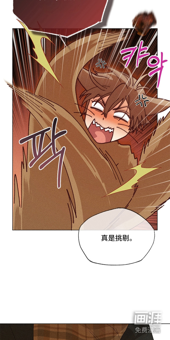 第17话9