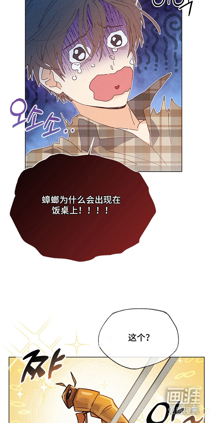 第16话16
