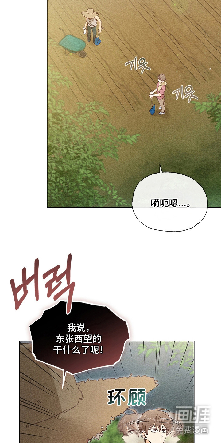 第11话12
