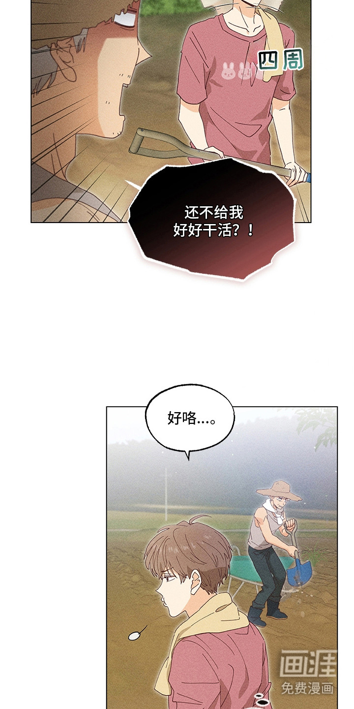 第11话13