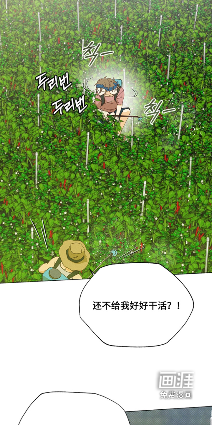 第26话25