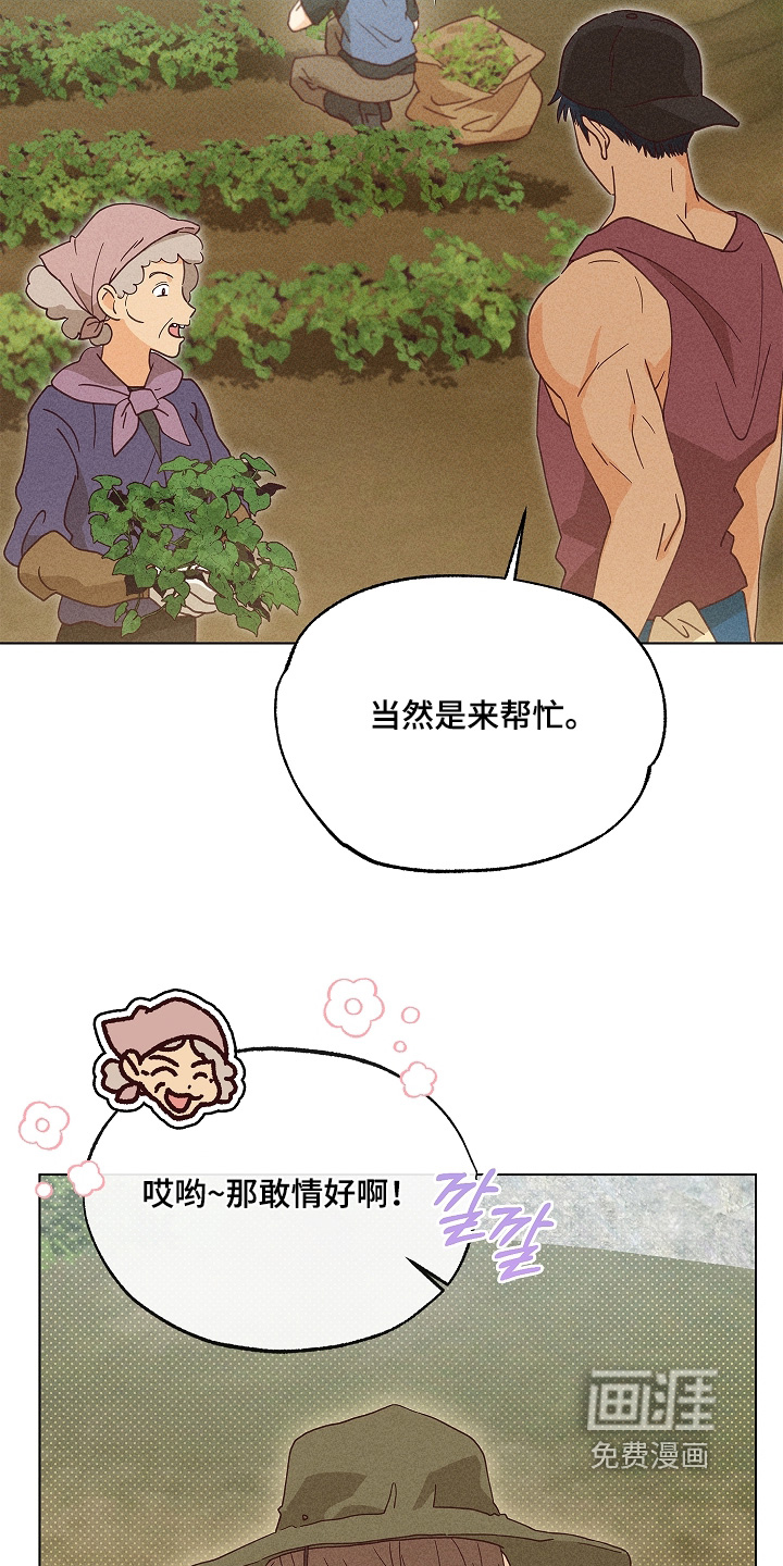 第31话24