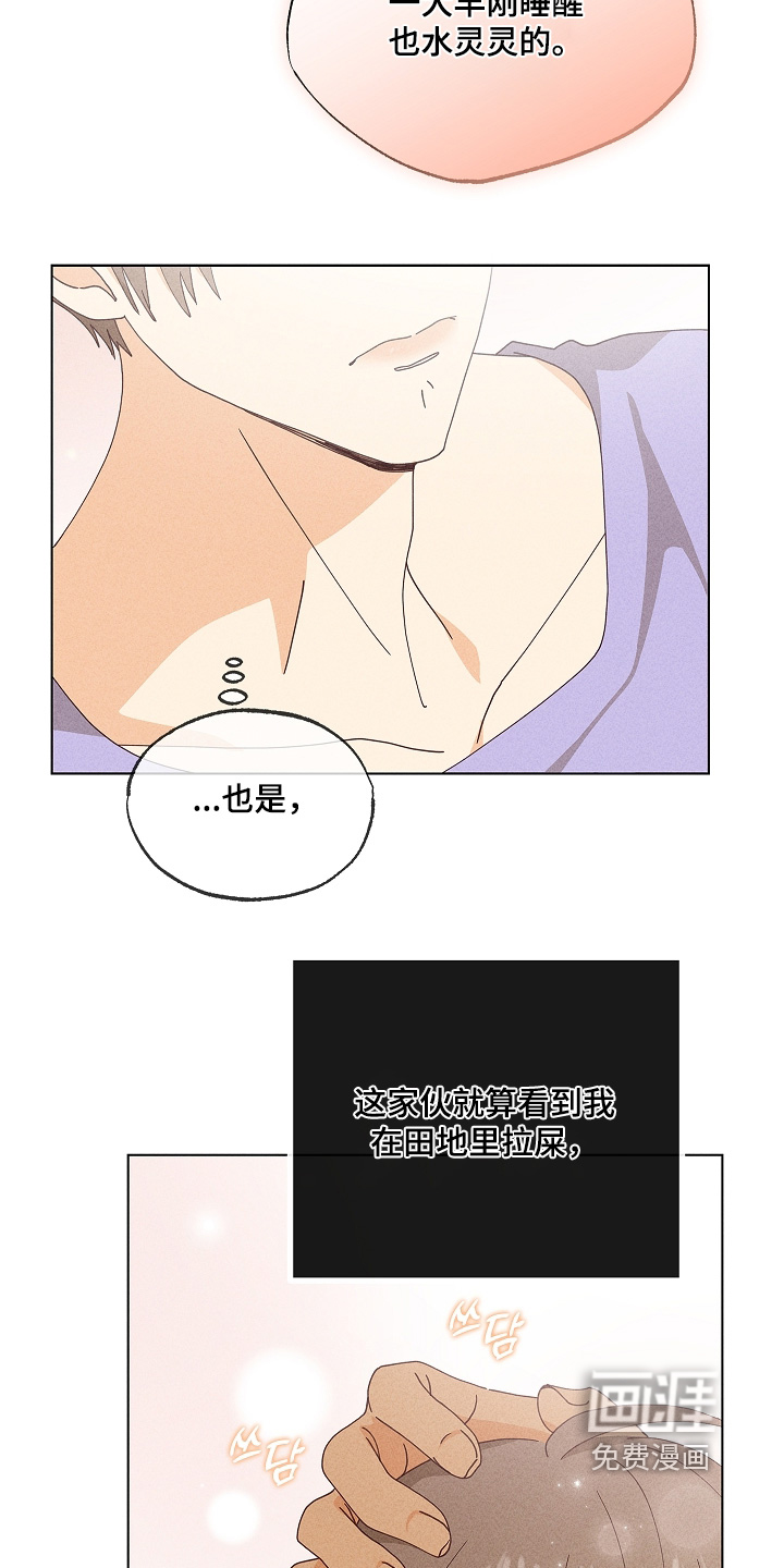 第31话36