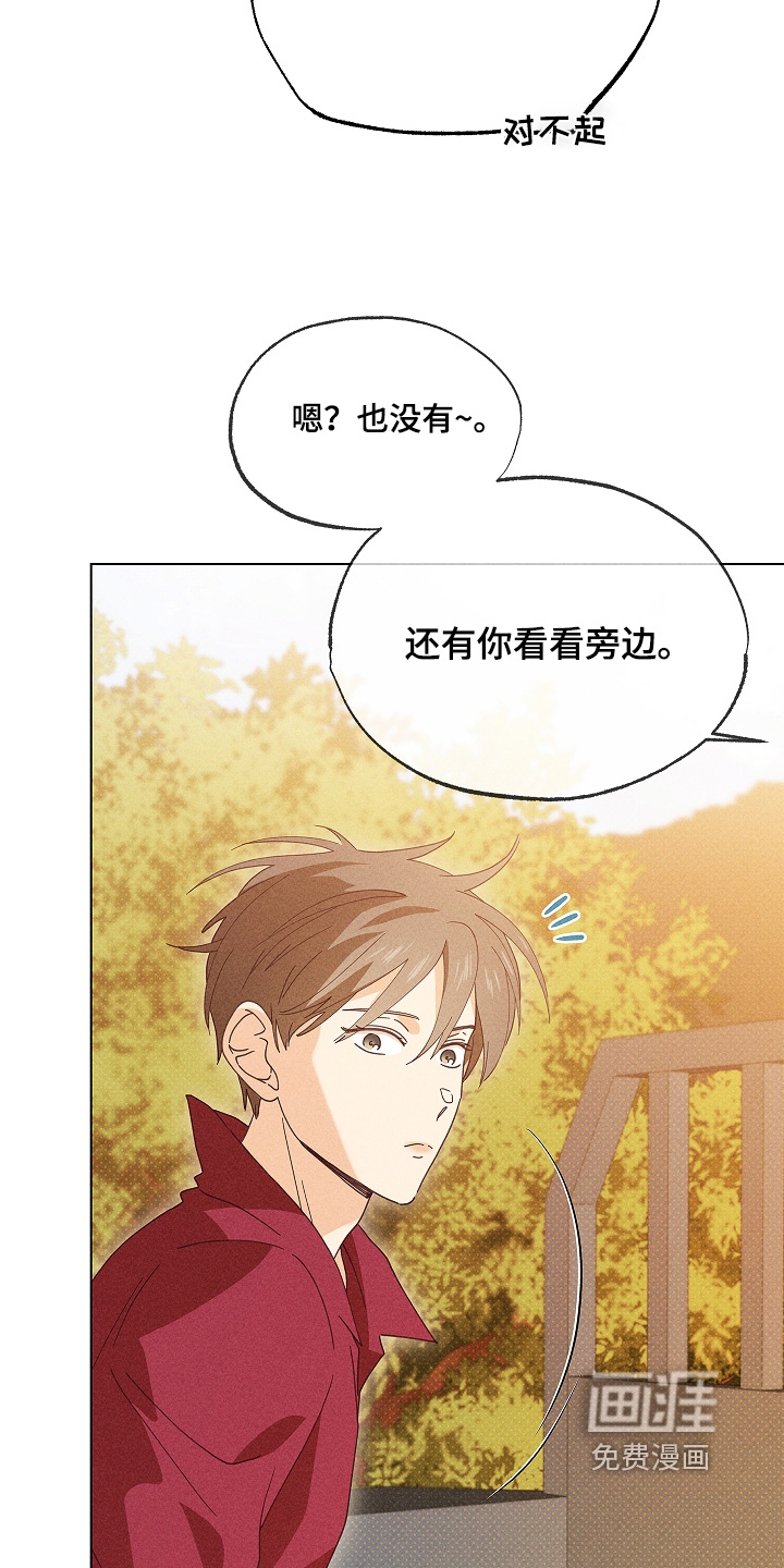 第41话17