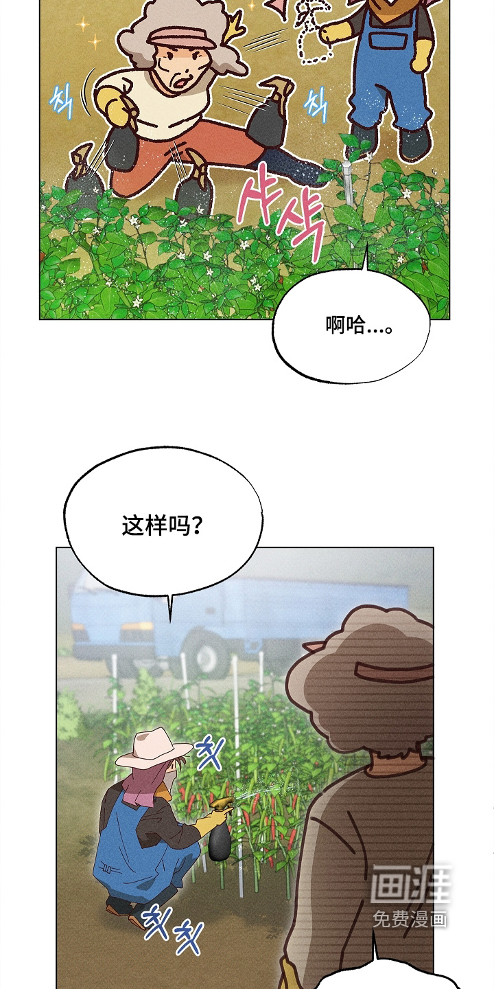 第46话12