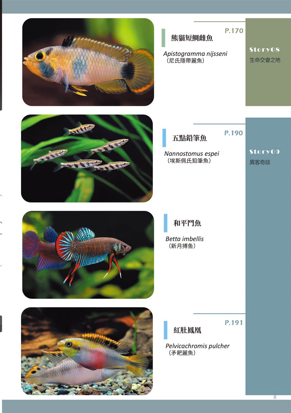 第1卷10