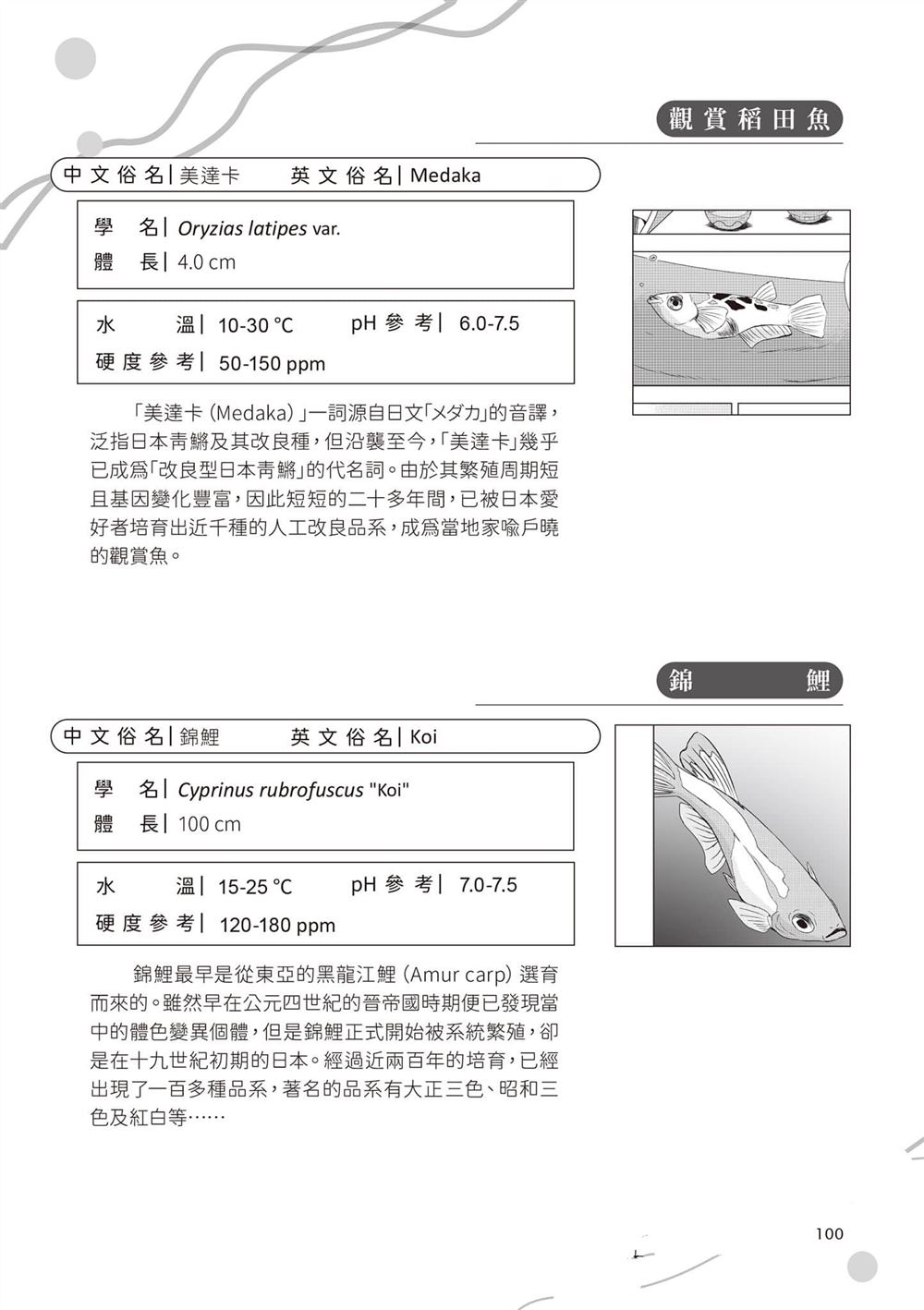 第1卷102