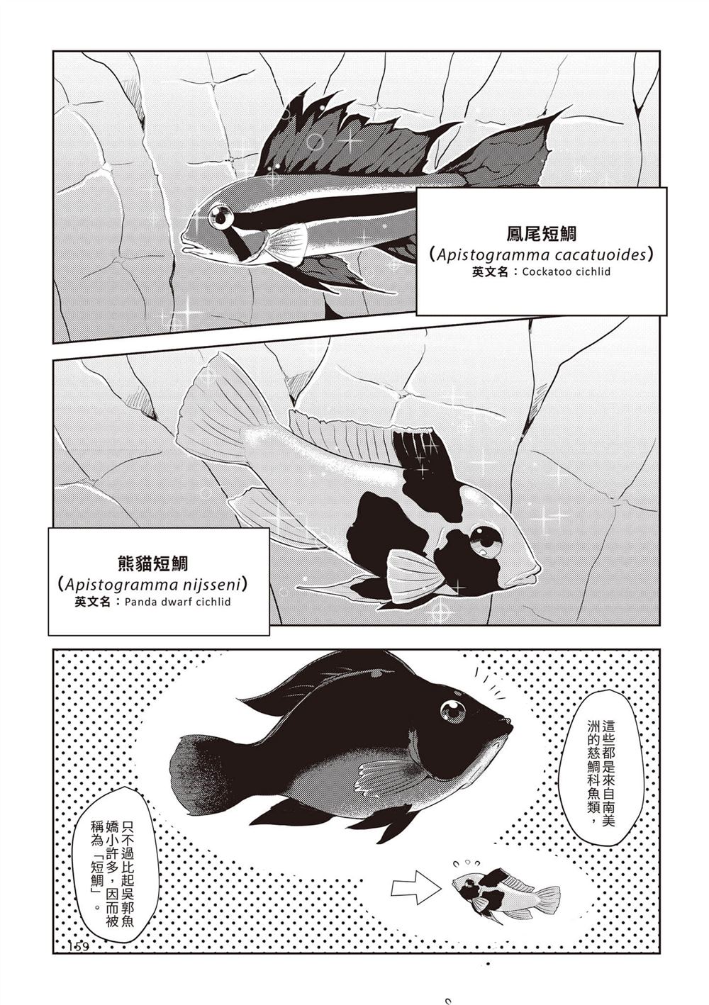 第1卷161