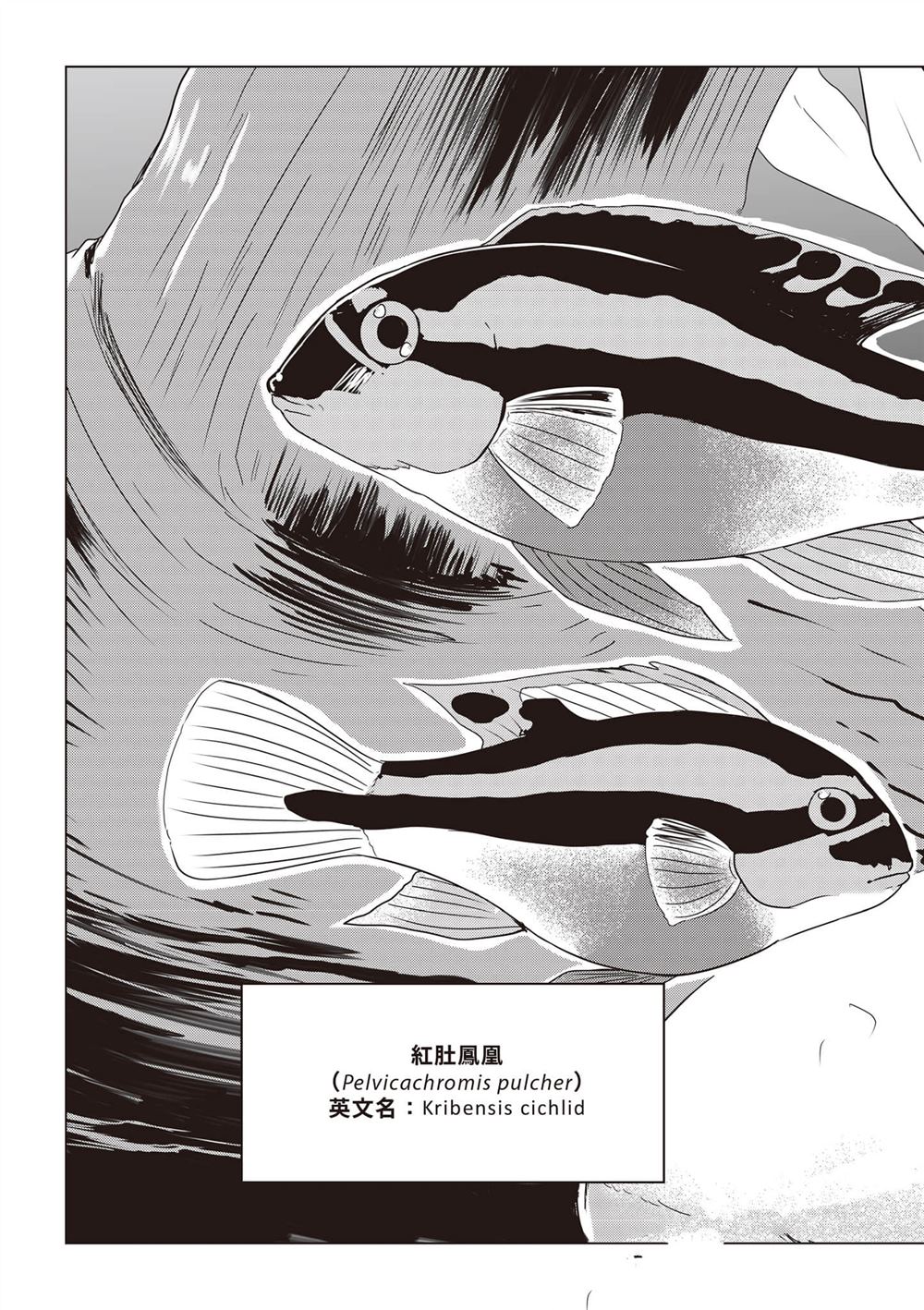 第1卷181