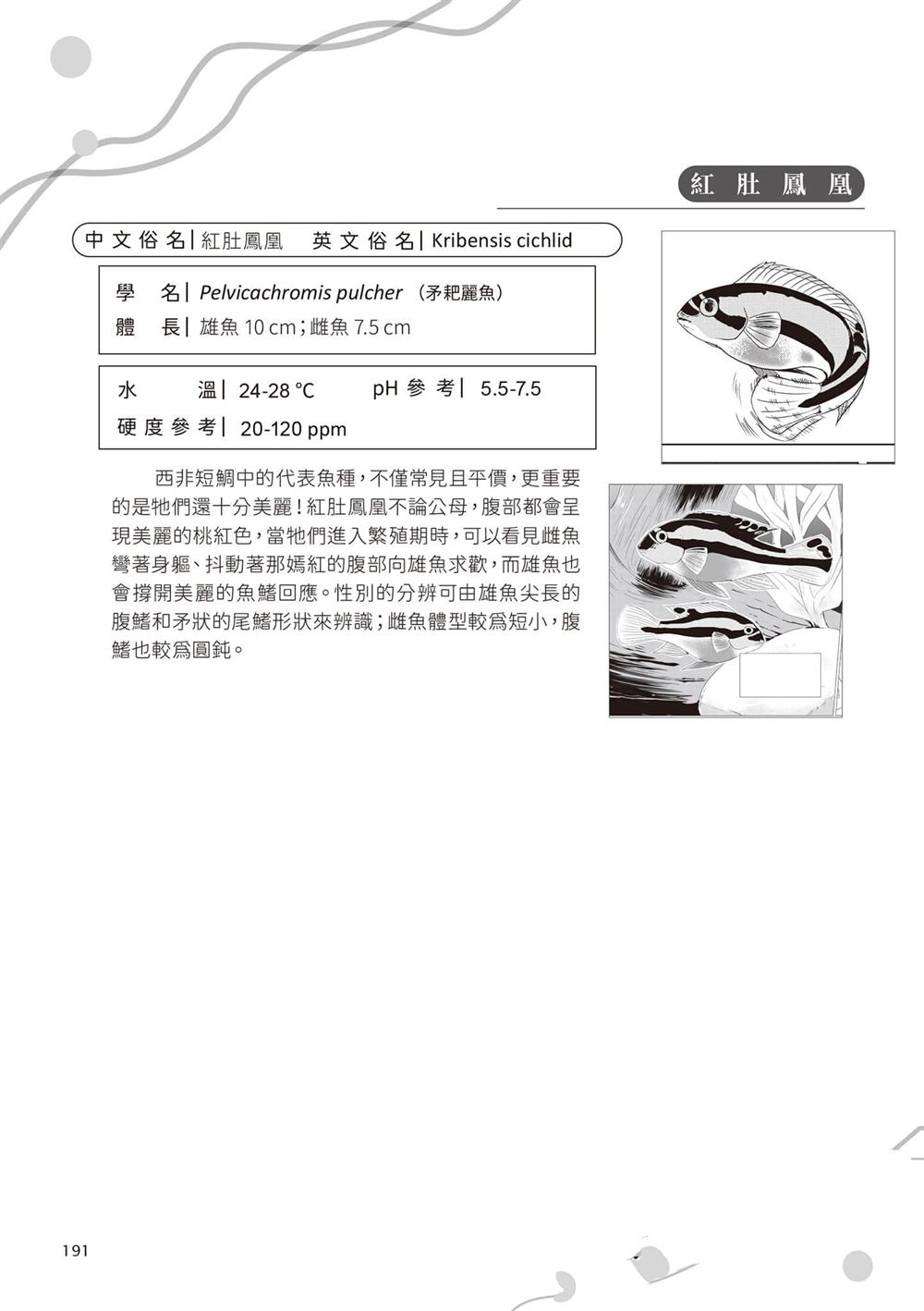 第1卷193