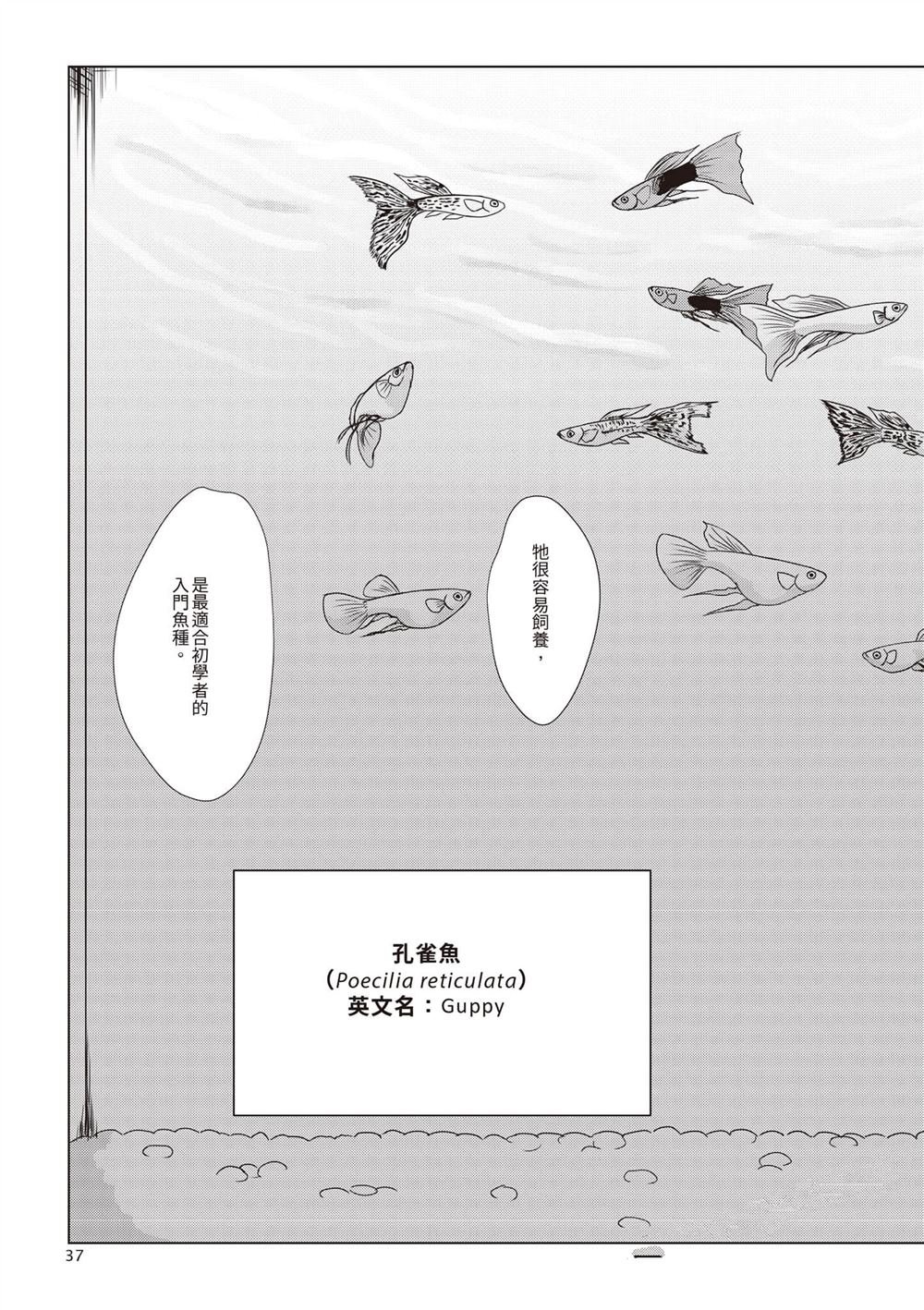 第1卷39