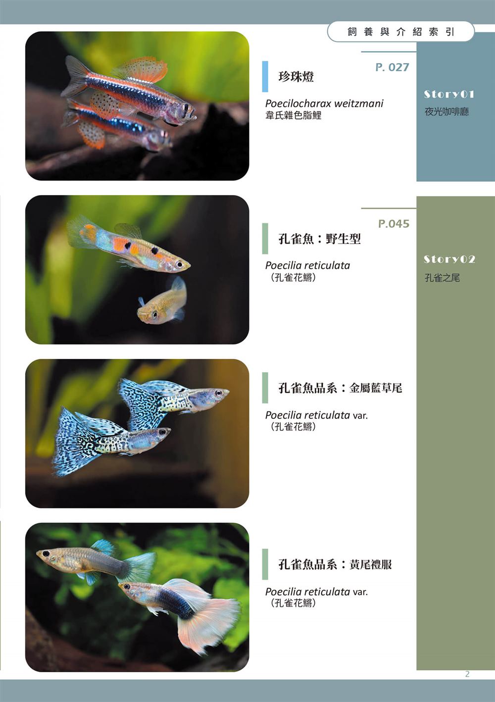 第1卷4