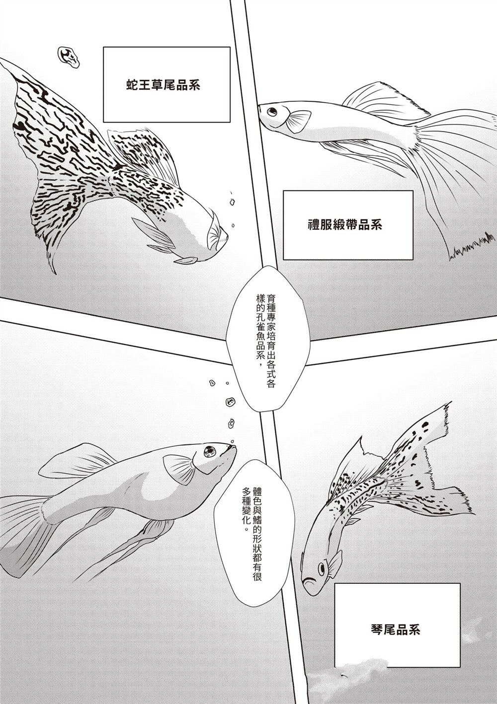 第1卷40