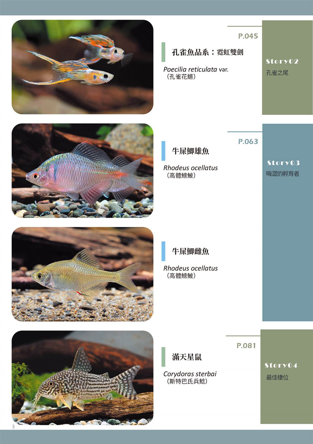 第1卷5