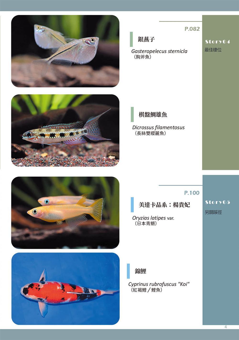 第1卷6