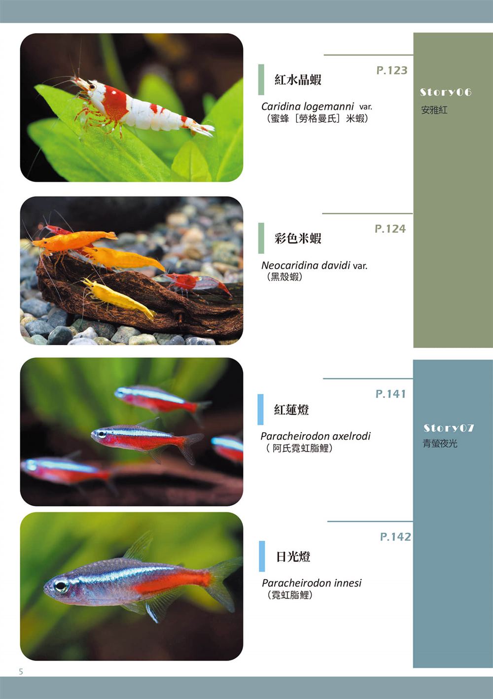 第1卷7