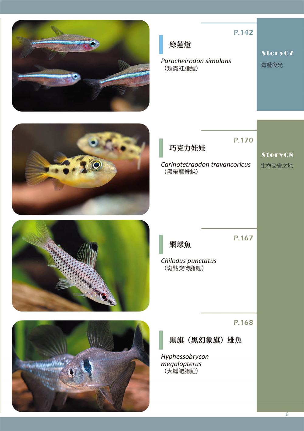 第1卷8