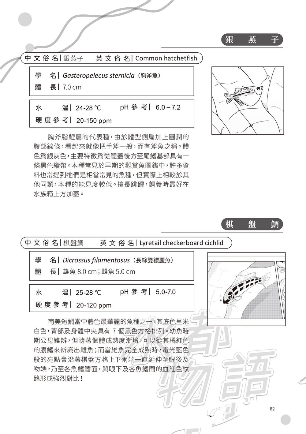 第1卷84