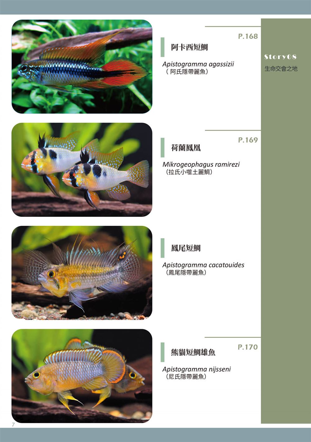 第1卷9