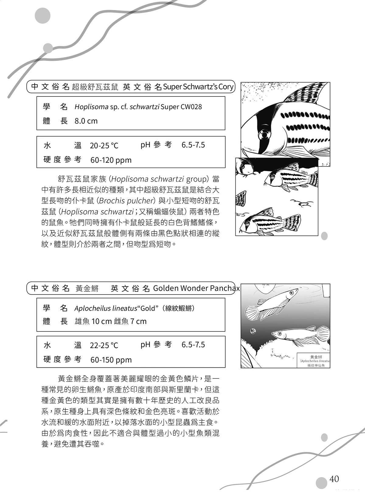 第16回29