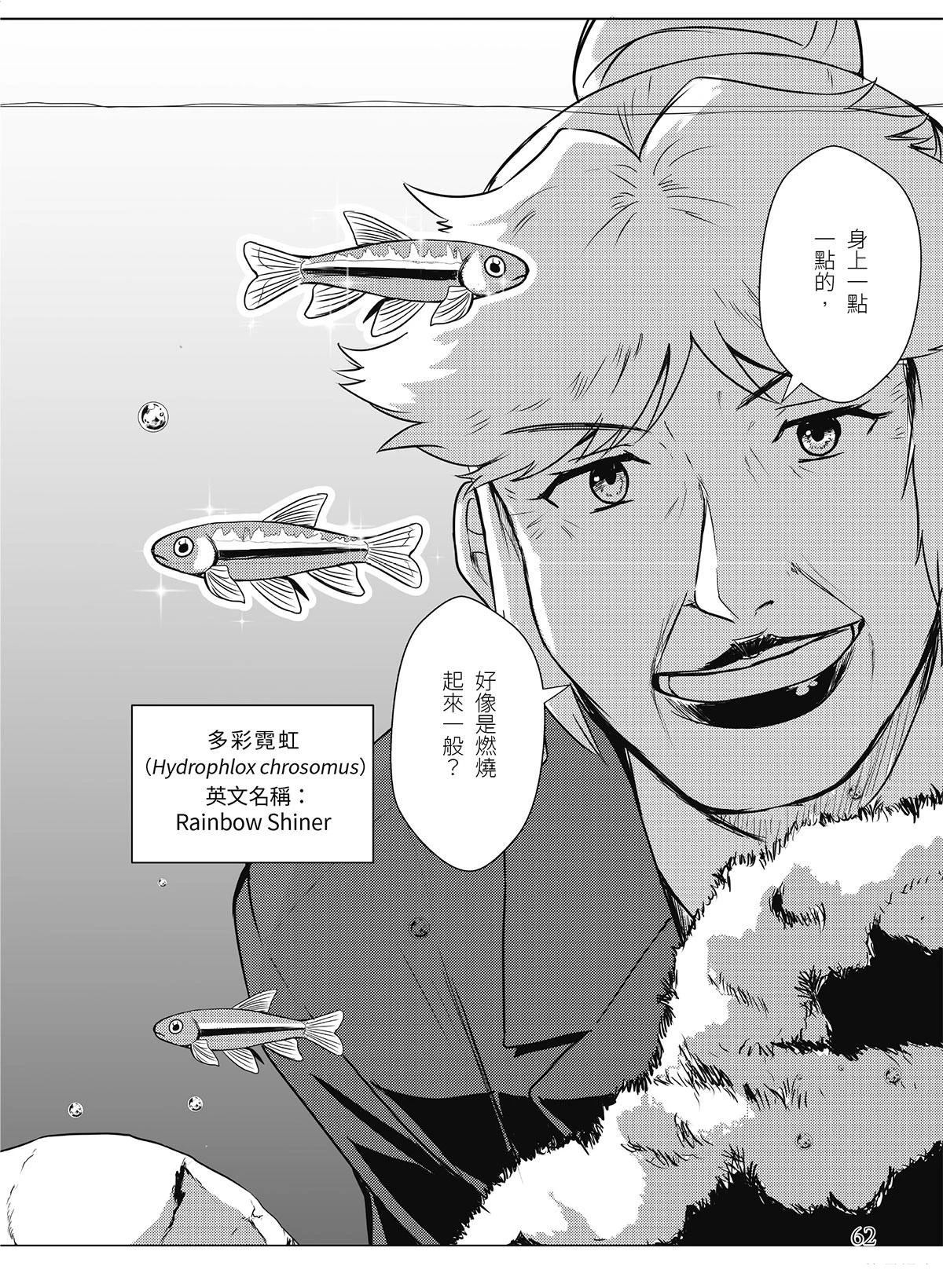 第17回19